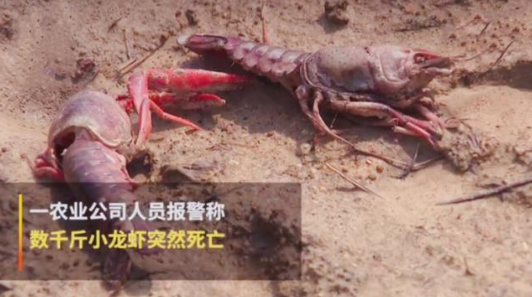 佛山網(wǎng)站建設
